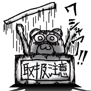 Takeshi 21-year-old (provisional)