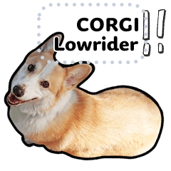 Stiker anjing Corgi