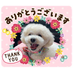 hana_20200517112103