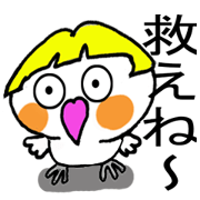 Cheeky parakeet 3