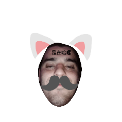 YOLOLOYO