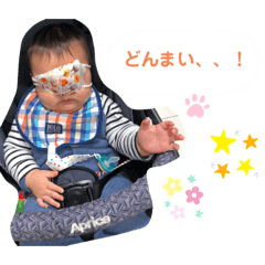 Panda_20200517115607