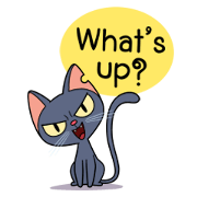 Mitty Meow Meow