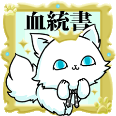 venerable pedigreed cat.gesuneko