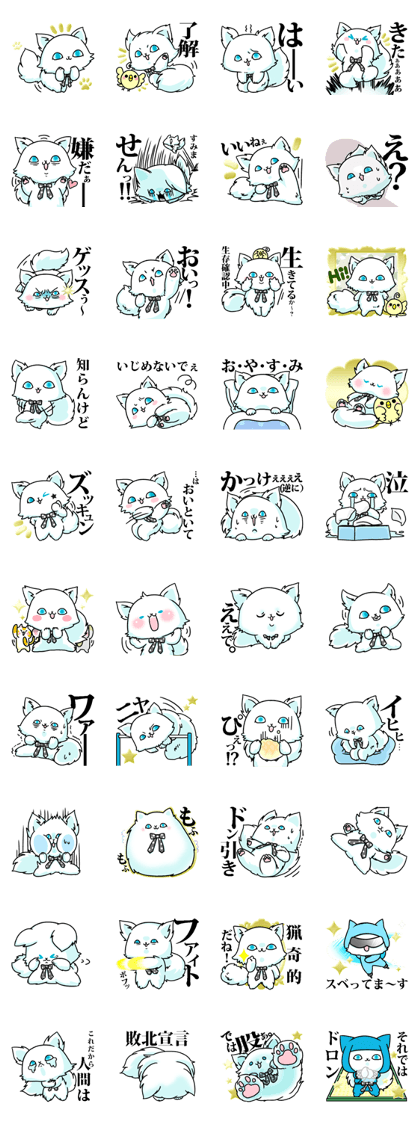 venerable pedigreed cat.gesuneko