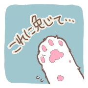 Cat full stickers for cat lover