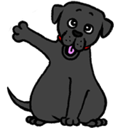 dog and cat diary