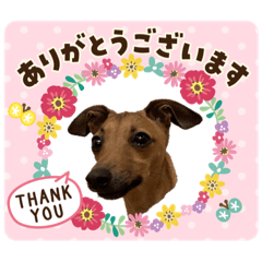KEN_20200517135517