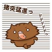 wild boar and daily life