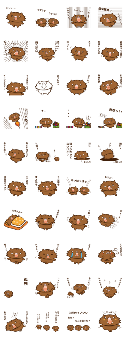 wild boar and daily life