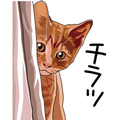 Cat illustrations Sticker