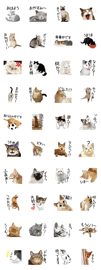 Cat illustrations Sticker