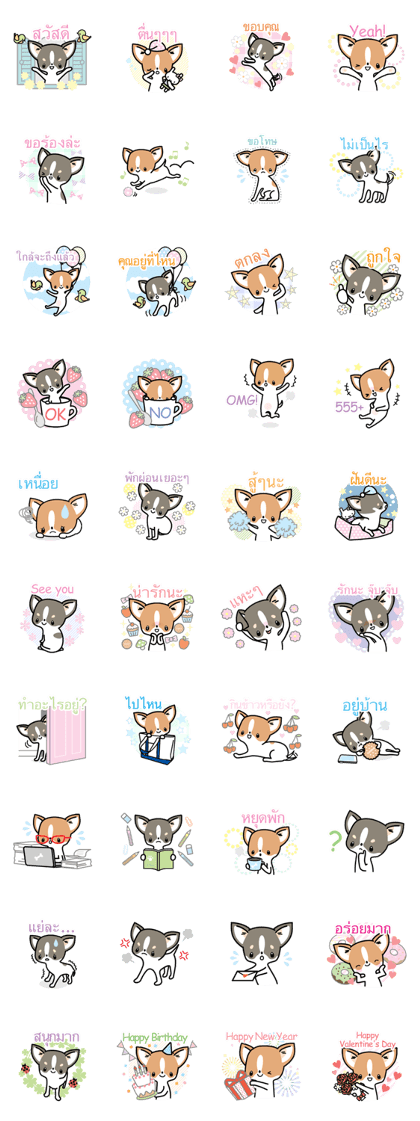 Kawaii Chihuahua (Thai)
