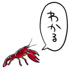talking American crayfish