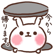 Go home from the rabbit now