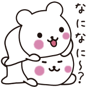 Pretty face bear