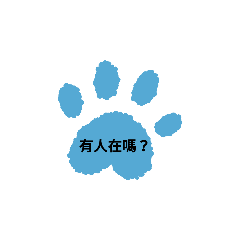 超可愛的貓抓