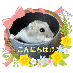 shibumaru_hamster stamp
