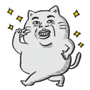 Puchi cat