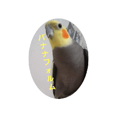 yuyumaru_20200517091645