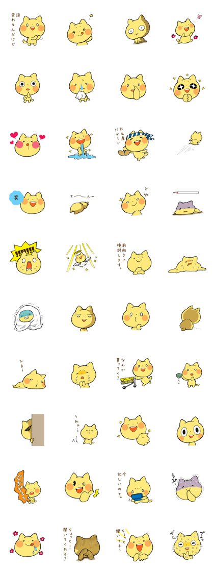 yellow cat! nekotan!
