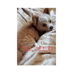 junko_20200517155051