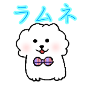 ramune white dog
