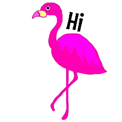 Pink Flamingo