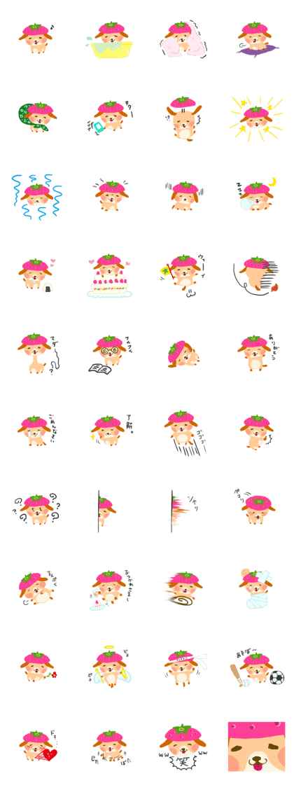 ichigoken