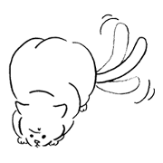 White cat's Sugar