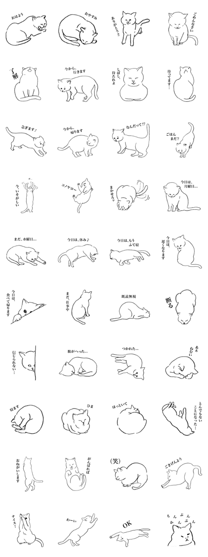 White cat's Sugar