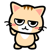 Stare with fixity cat