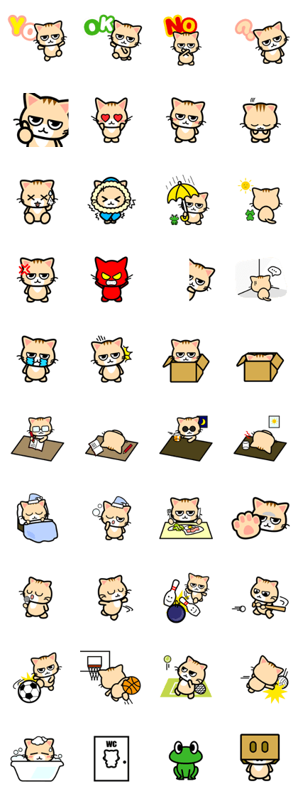 Stare with fixity cat