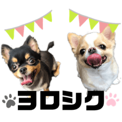 Alice and Jill's stamp2