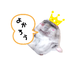 SUZU_20200517143812