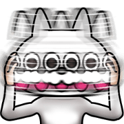 Cat Mascot Costume