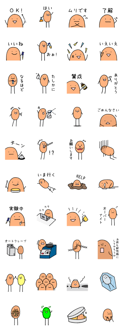 E. coli