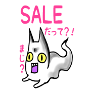 Ghost cat I keep house.