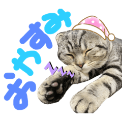 arisa_20200517181826