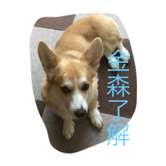 kaito_20200517181525