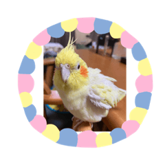 orange_20200517183722