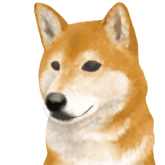 As Expected Shiba Inu Line Stickers Line Store As Expected Shiba Inu Line Stickers Line Store