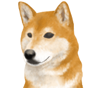 As expected! Shiba Inu