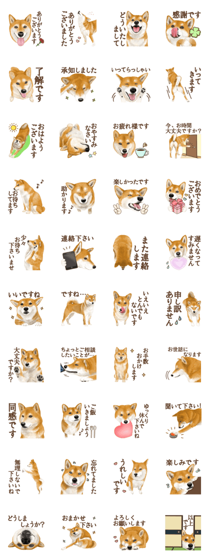 As expected! Shiba Inu