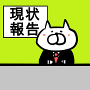 Cat to convey status report
