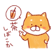 Shiba dog of Oosaka accent