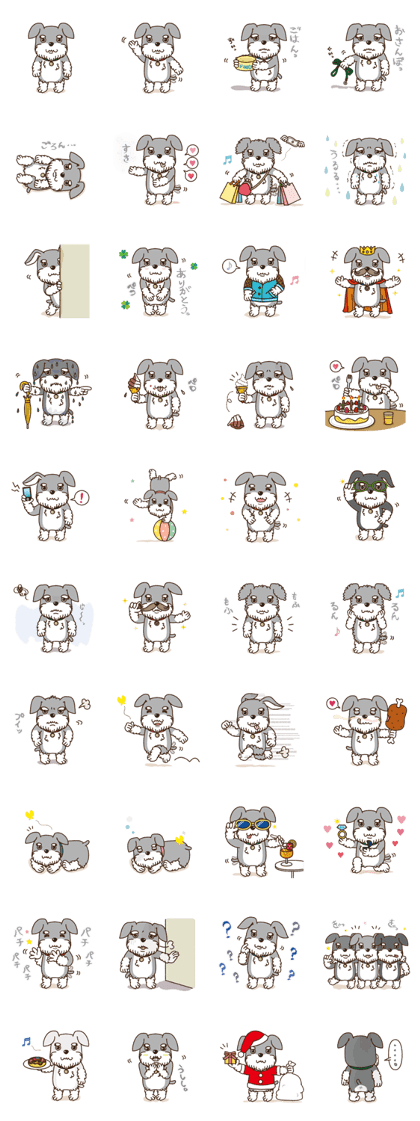 Cute Schnauzer "POMUN"