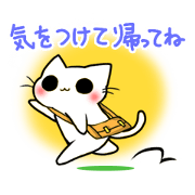 gentle cat 3