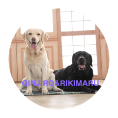 yukari_20200517194354