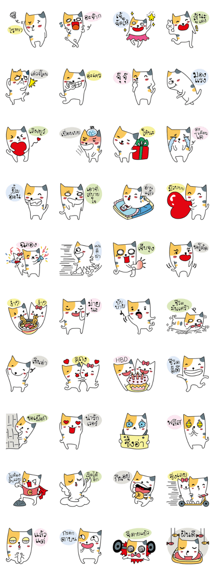 Neko Three color